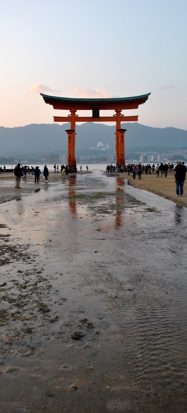 The Famous Sea Tori- Miyajima, Japan 
