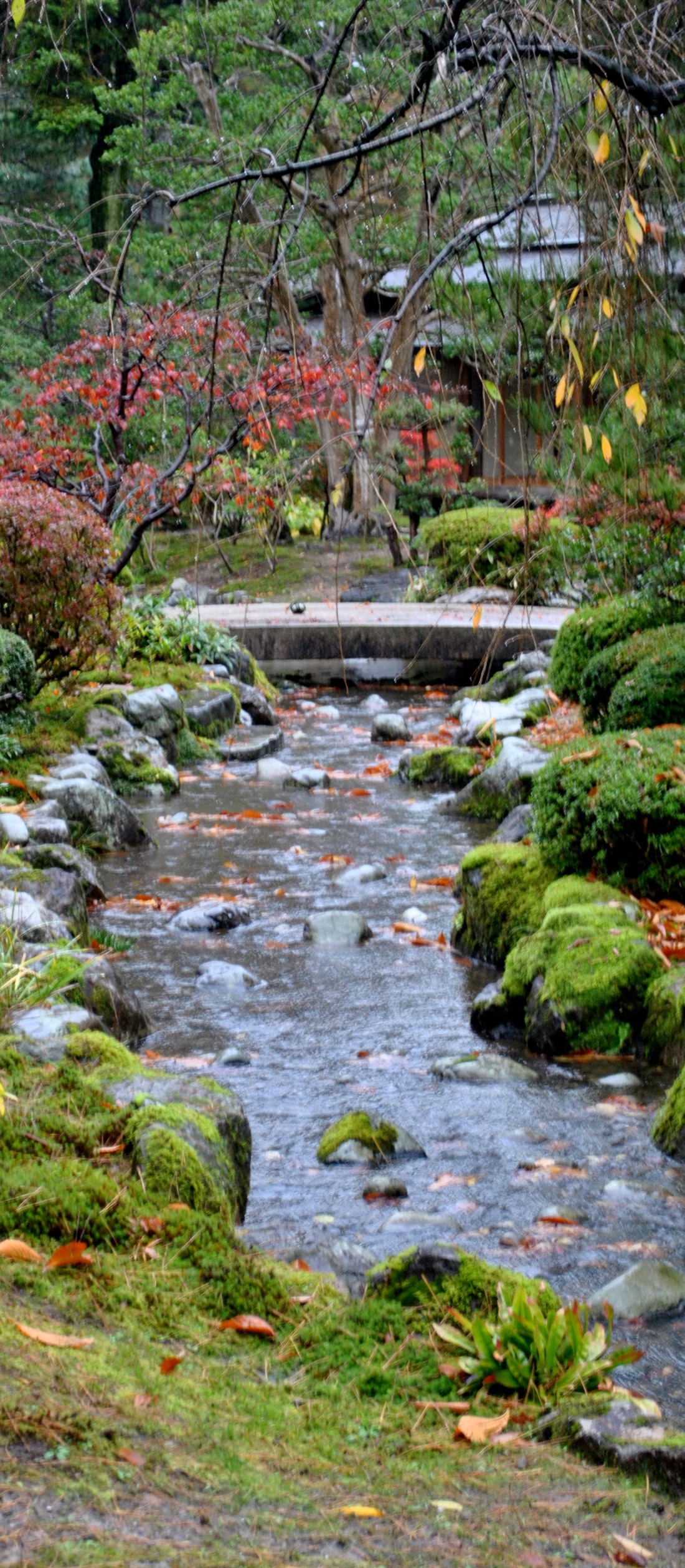 Famous Kenrokuen Garden- Kanazawa, Japan